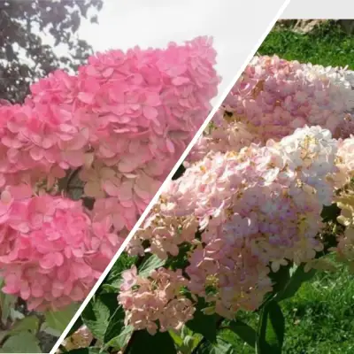 Комплект МНОГОГРАННОСТЬ в Гомеле