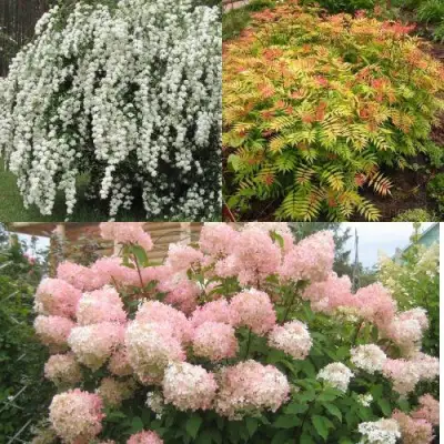 Комплект ФЕЙЕРВЕРК ЛЕТА в Гомеле