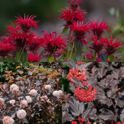 Комплект ОГНЕННЫЙ МИКС в Гомеле