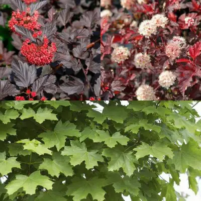 Комплект ОСЕННИЙ КОСТЕР в Гомеле