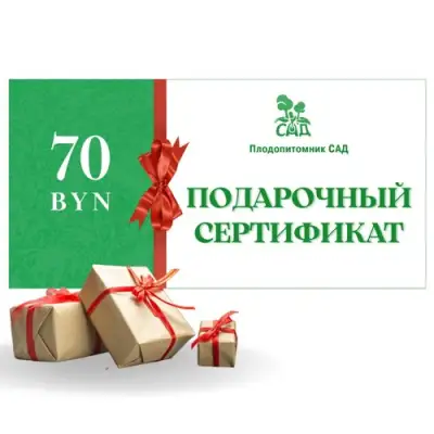 Подарочный сертификат на  70 BYN в Гомеле