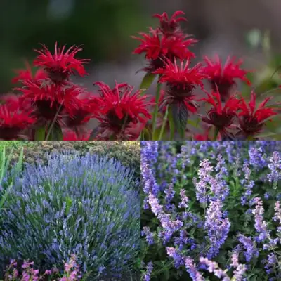 Комплект АРОМАТНЫЙ ЧАЙ в Гомеле