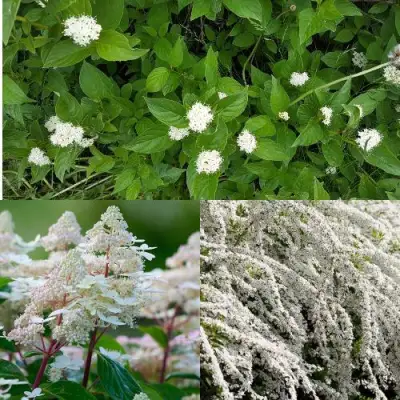 Комплект СКАНДИНАВСКИЙ СТИЛЬ в Гомеле