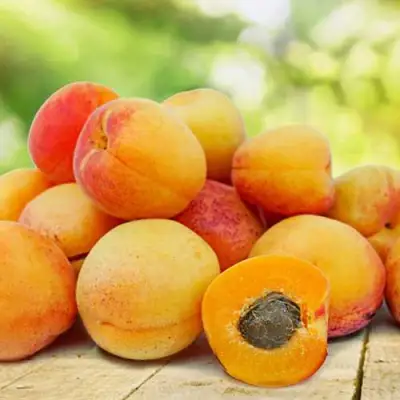 Абрикос ГРАФИНЯ в Гомеле