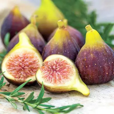 Инжир НИКИТСКИЙ в Гомеле