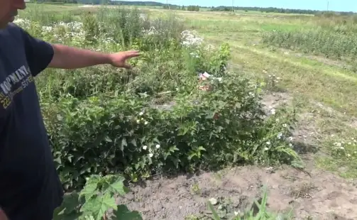 Превью видео