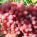 Виноград КИШМИШ КРАСНЫЙ в Гомеле