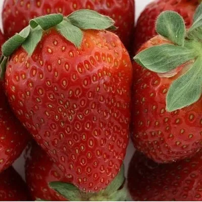 Клубника ФЛАМИНИЯ в Гомеле