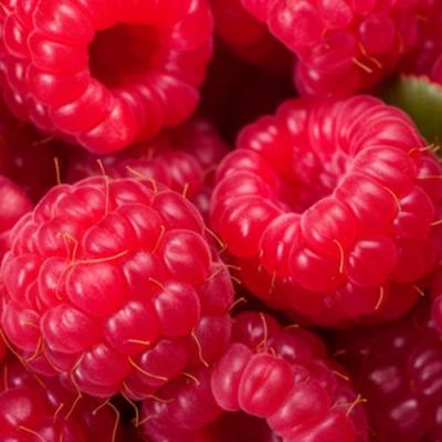 Красная в Гомеле