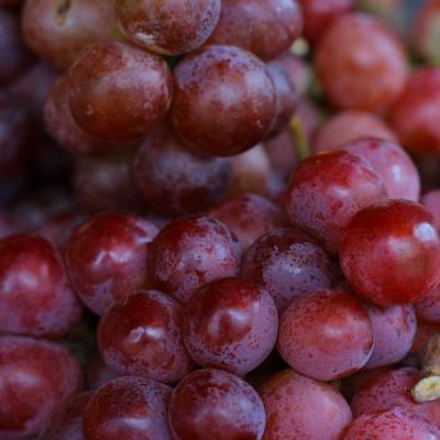 Красный в Гомеле