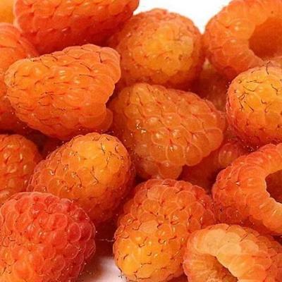 Оранжевая в Гомеле